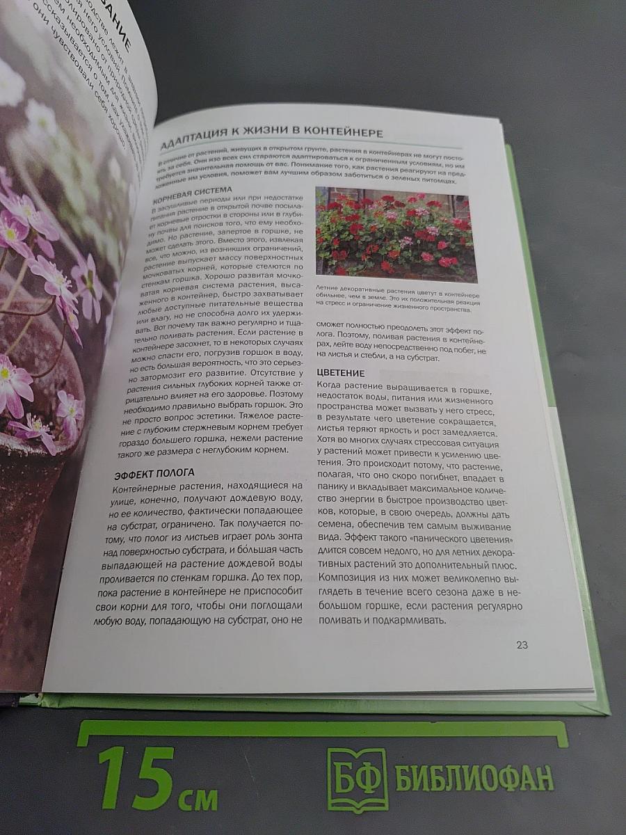 Контейнерные растения