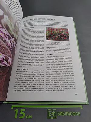 Контейнерные растения