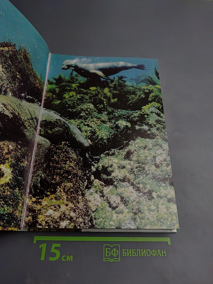 Живой мир островов