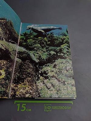 Живой мир островов