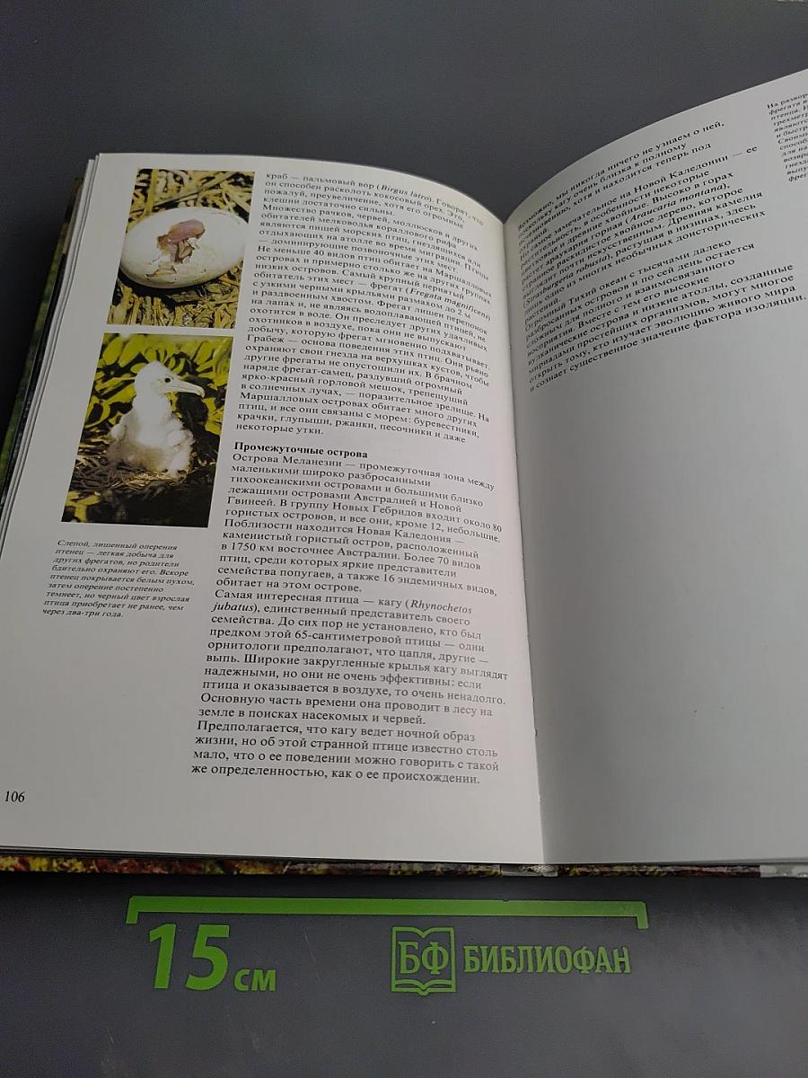 Живой мир островов