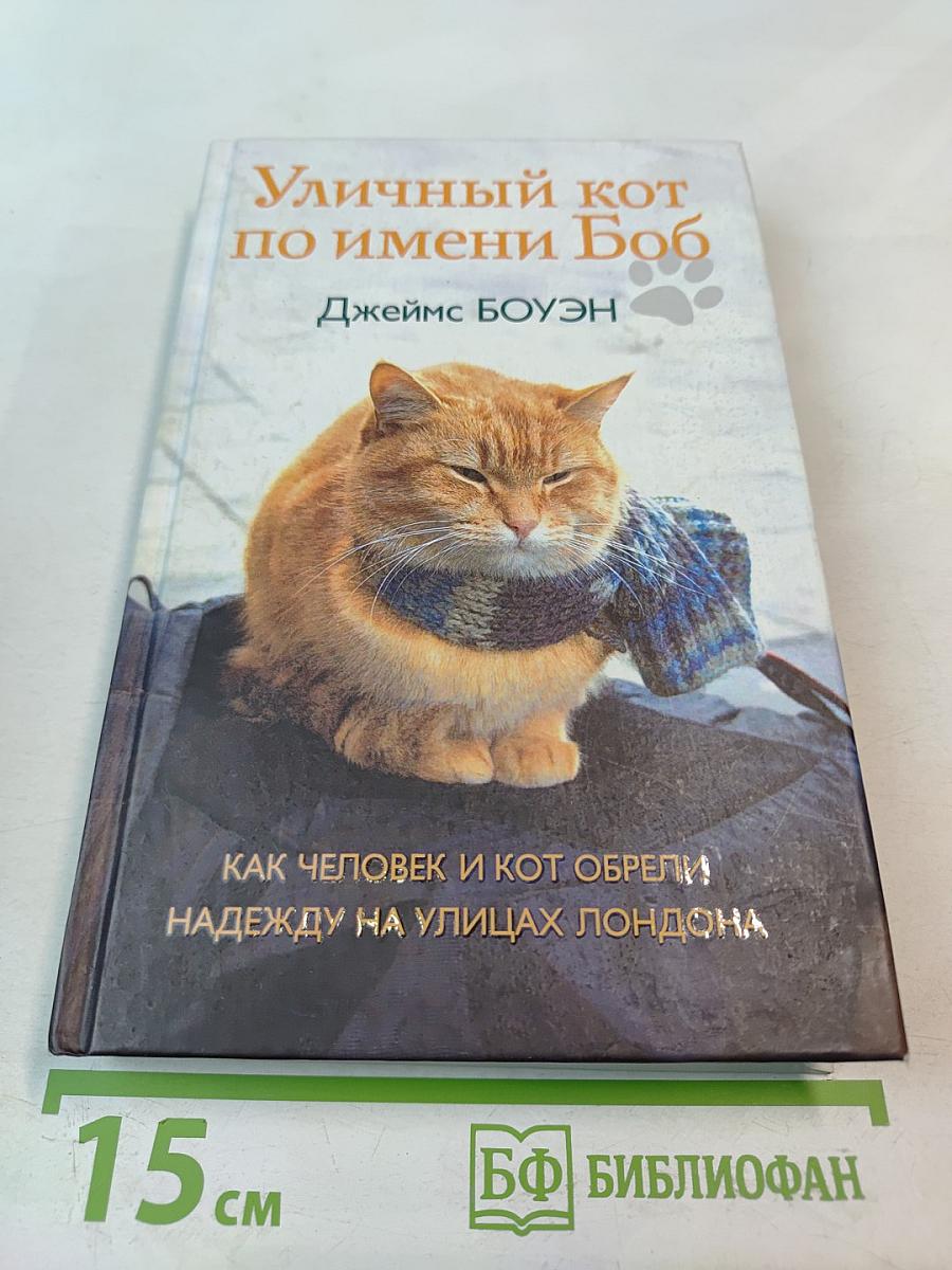 Уличный кот по имени Боб