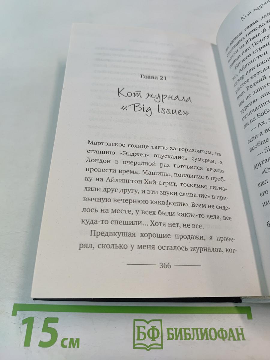 Уличный кот по имени Боб