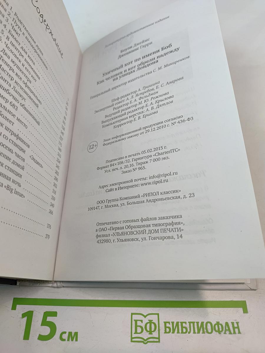 Уличный кот по имени Боб