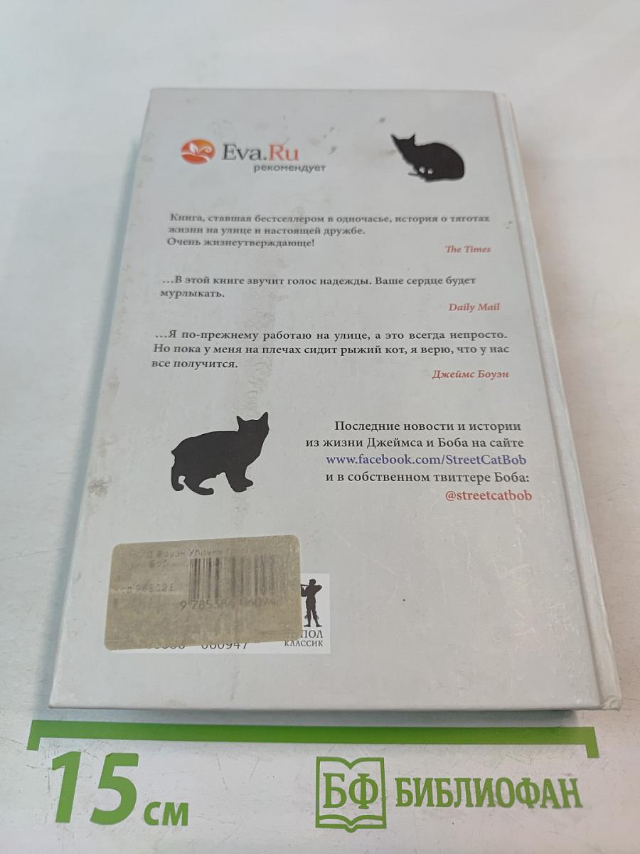 Уличный кот по имени Боб