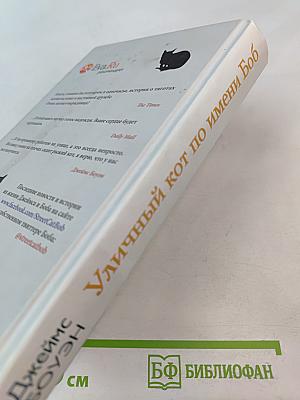 Уличный кот по имени Боб