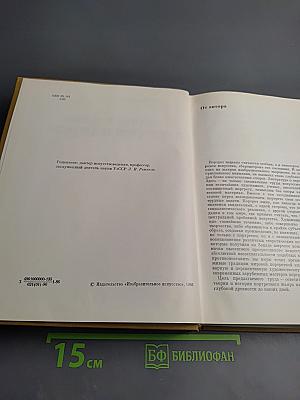 Очерки теории и истории портрета