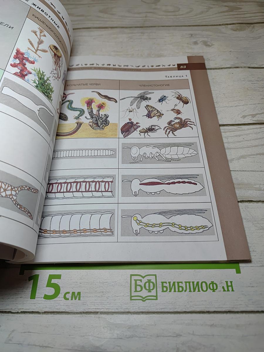 Биология 7 класс
