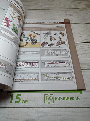 Биология 7 класс
