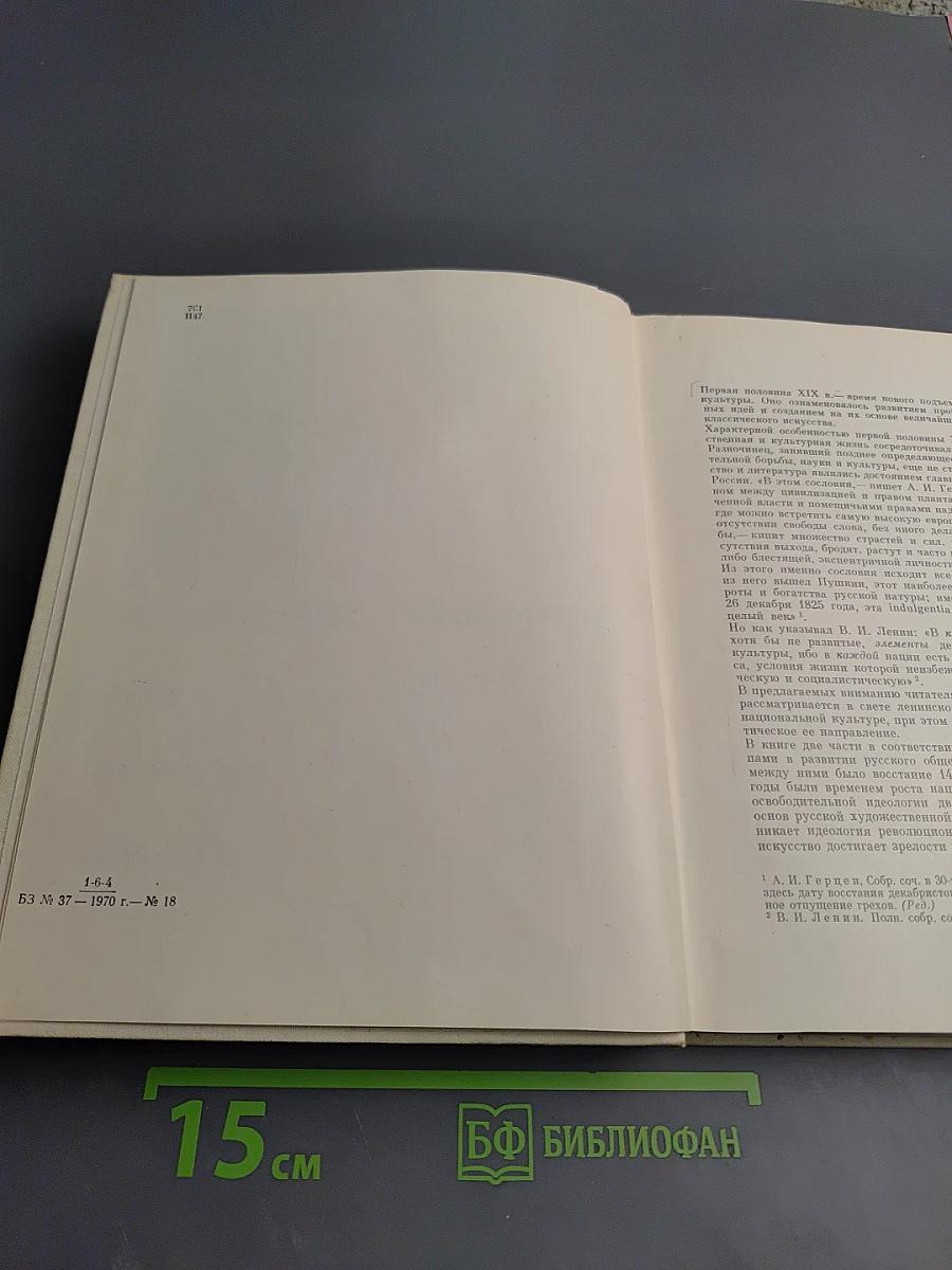 Очерки истории русской культуры первой половины XIX века