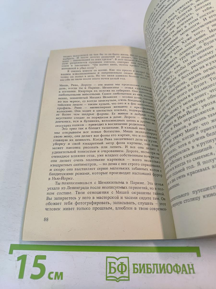 Владимир, или Прерванный полет