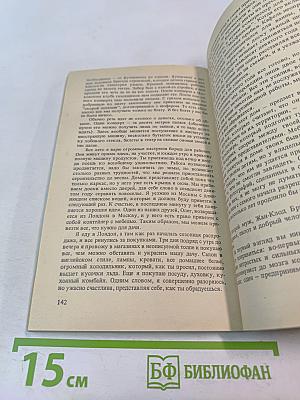 Владимир, или Прерванный полет
