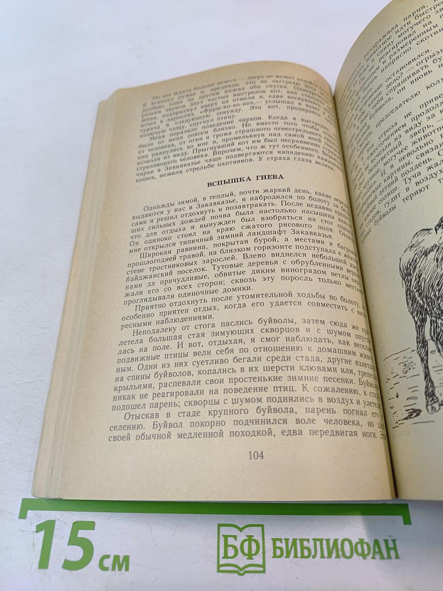 Встречи с животными