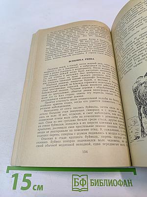 Встречи с животными