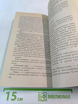 Любимые цветы