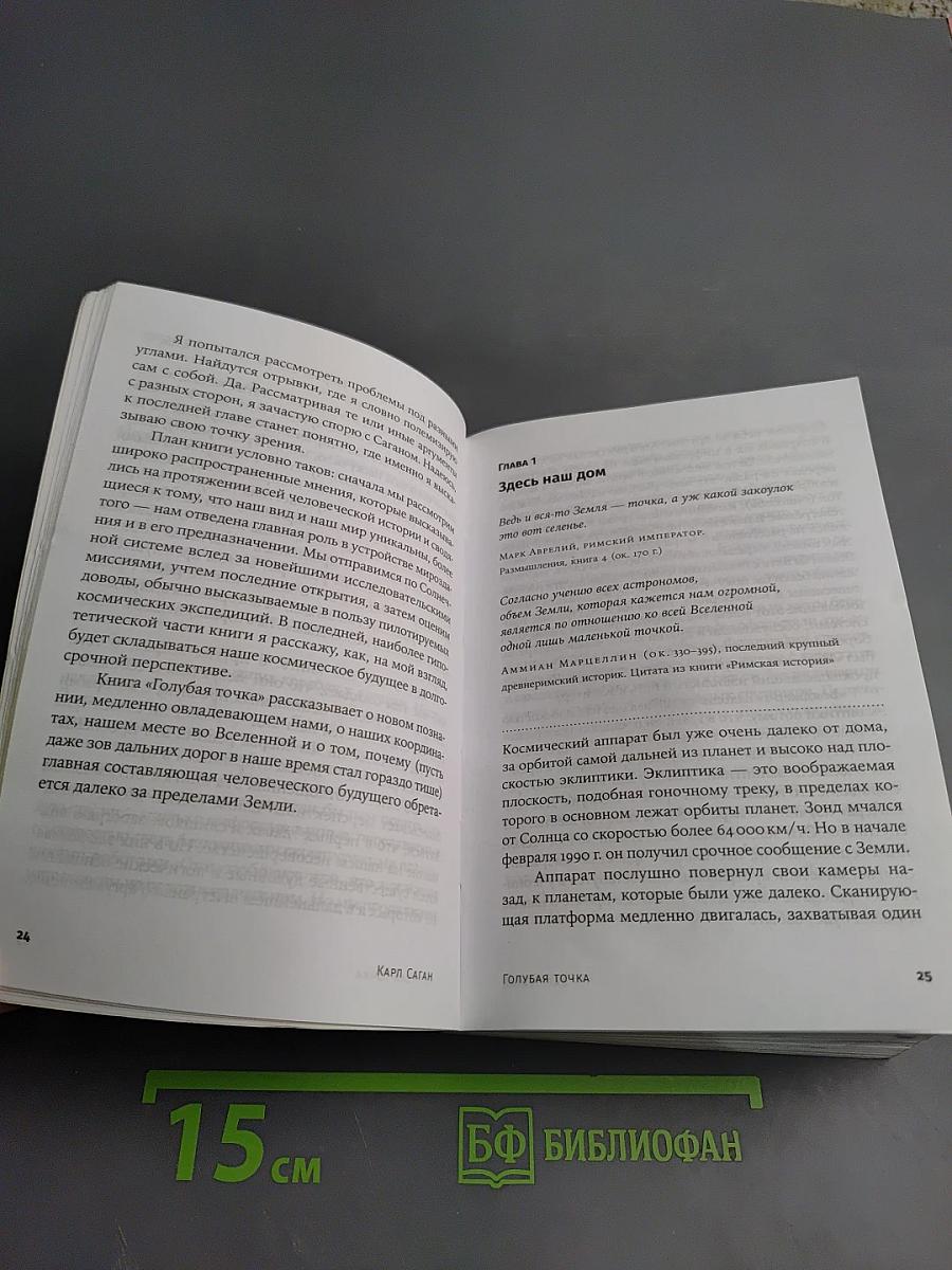 Голубая точка. Космическое будущее человечества