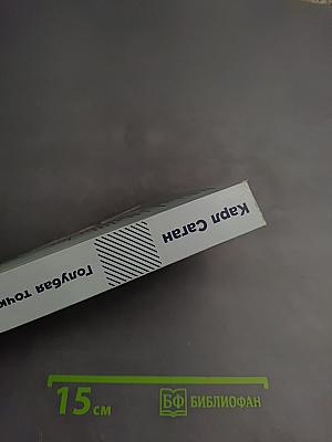 Голубая точка. Космическое будущее человечества