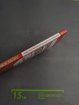 Применение ПБУ 18/02. Учет расчетов по налогу на прибыль