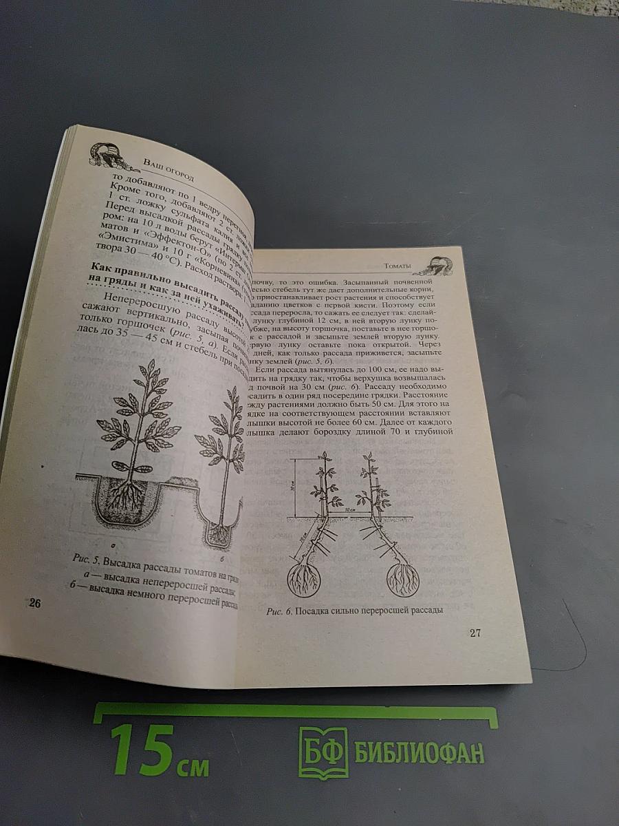 Ваш огород. Практический справочник в вопросах и ответах