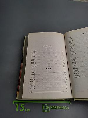 Ричард Длинные Руки — пфальцграф