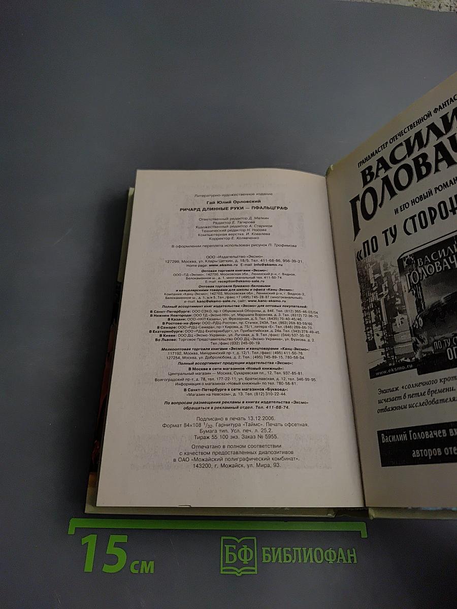 Ричард Длинные Руки — пфальцграф