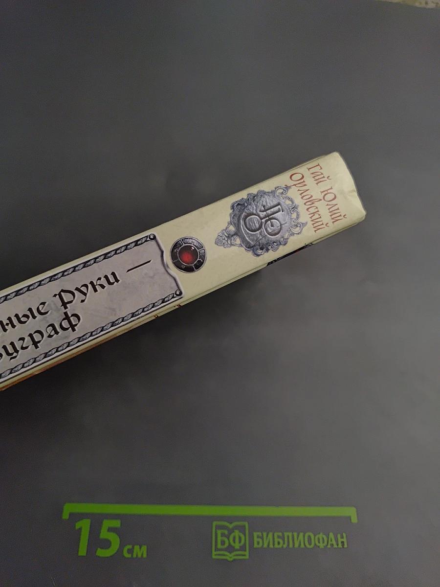 Ричард Длинные Руки — пфальцграф