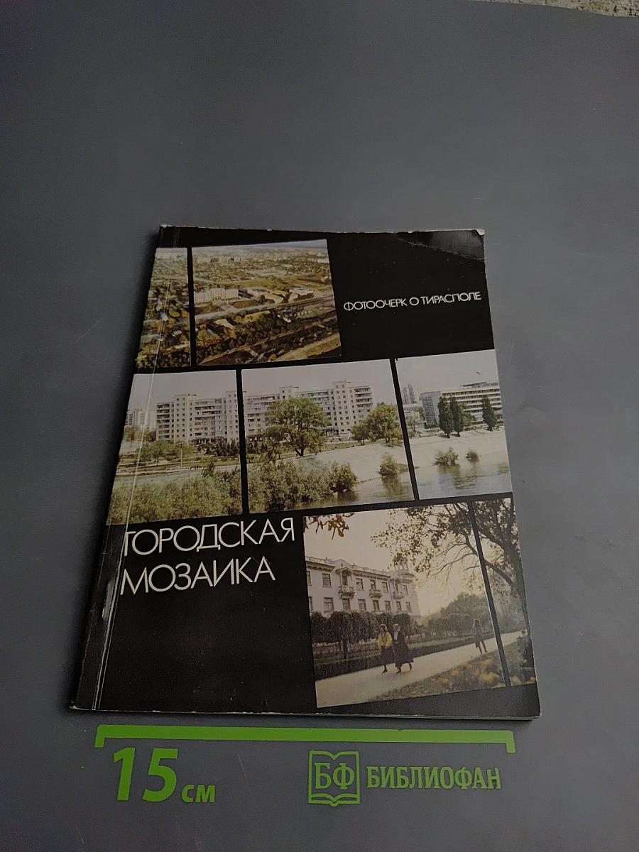 Городская мозаика. Фотоочерк о Тирасполе