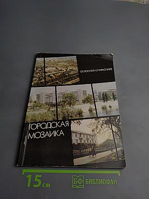 Городская мозаика. Фотоочерк о Тирасполе