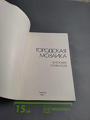 Городская мозаика. Фотоочерк о Тирасполе
