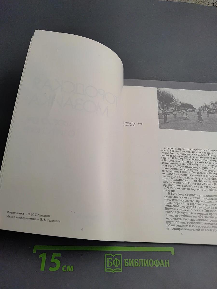 Городская мозаика. Фотоочерк о Тирасполе