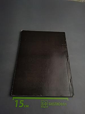 Городская мозаика. Фотоочерк о Тирасполе