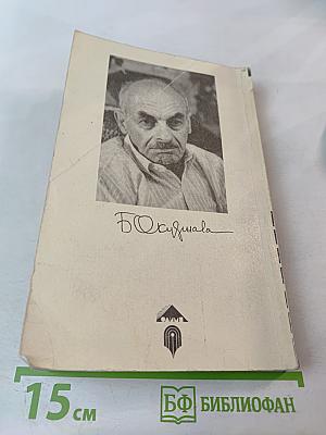 Заезжий музыкант