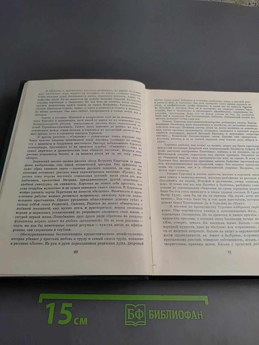 Записки охотника. Повести и рассказы