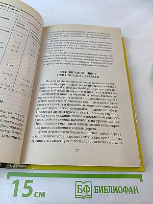 Современный сад