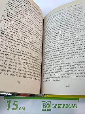 Современный сад