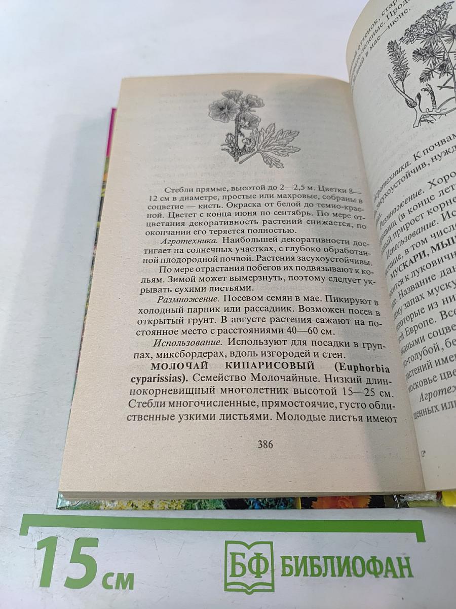 Современный сад