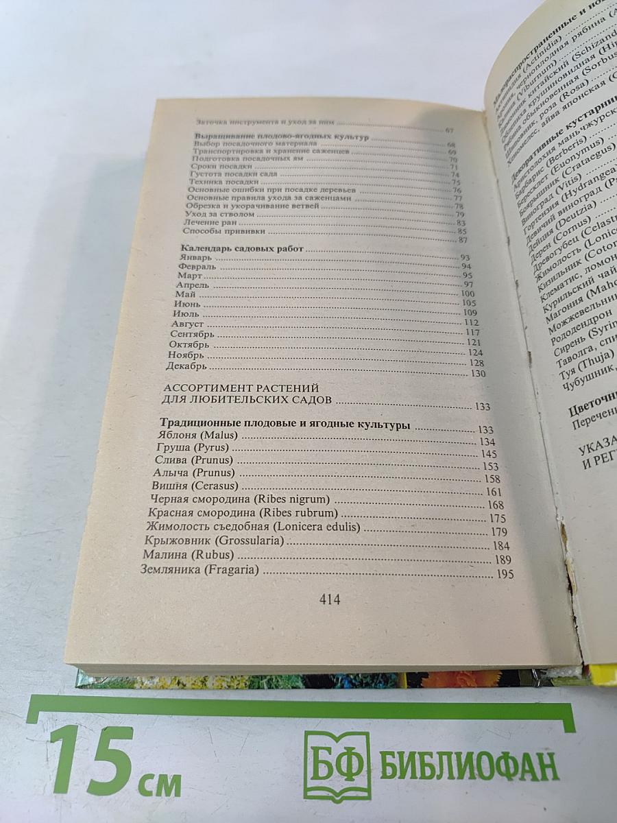 Современный сад