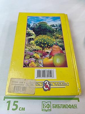 Современный сад