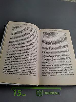 Штурм Химеры