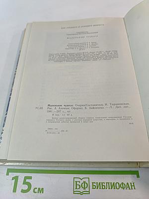 Маленькие чудеса