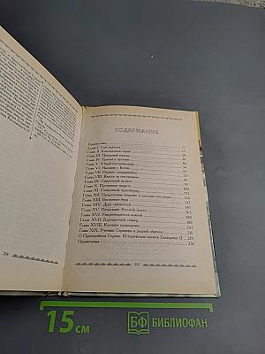 Преподобный Сергий Радонежский. Житие, подвиги