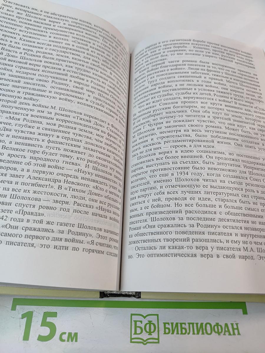 Литература, часть 2, 11 класс