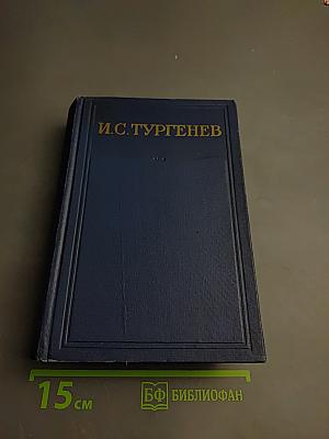 Полное собрание сочинений и писем И.С. Тургенева. Том шестой: Повести и рассказы «Рудин». Статьи и воспоминания 1853-1856