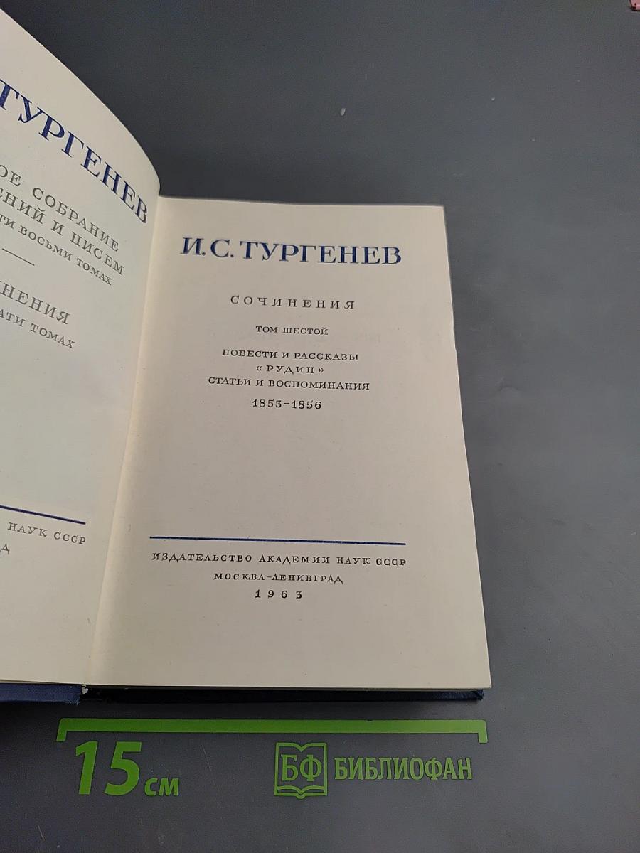 Полное собрание сочинений и писем И.С. Тургенева. Том шестой: Повести и рассказы «Рудин». Статьи и воспоминания 1853-1856