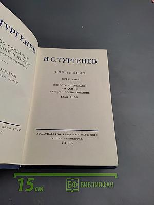 Полное собрание сочинений и писем И.С. Тургенева. Том шестой: Повести и рассказы «Рудин». Статьи и воспоминания 1853-1856