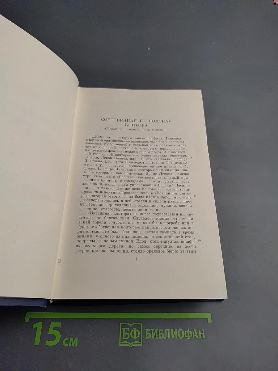Полное собрание сочинений и писем И.С. Тургенева. Том шестой: Повести и рассказы «Рудин». Статьи и воспоминания 1853-1856