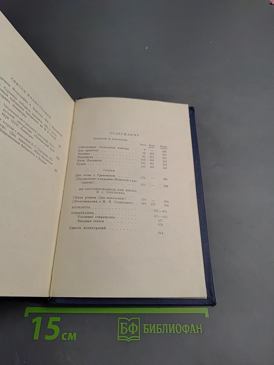 Полное собрание сочинений и писем И.С. Тургенева. Том шестой: Повести и рассказы «Рудин». Статьи и воспоминания 1853-1856