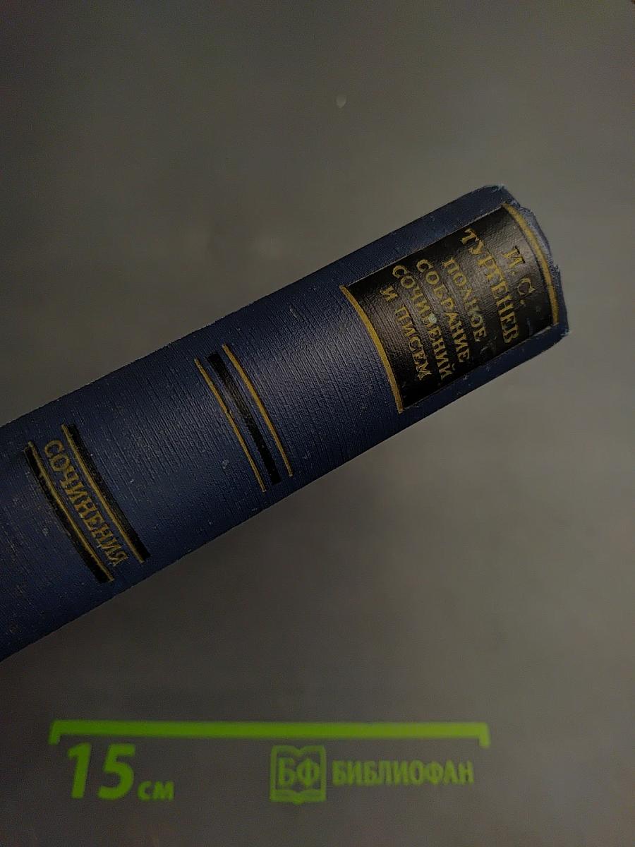 Полное собрание сочинений и писем И.С. Тургенева. Том шестой: Повести и рассказы «Рудин». Статьи и воспоминания 1853-1856