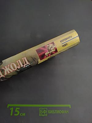 Осколки чести