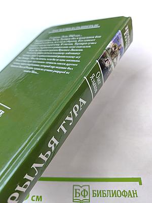 Крылья Тура